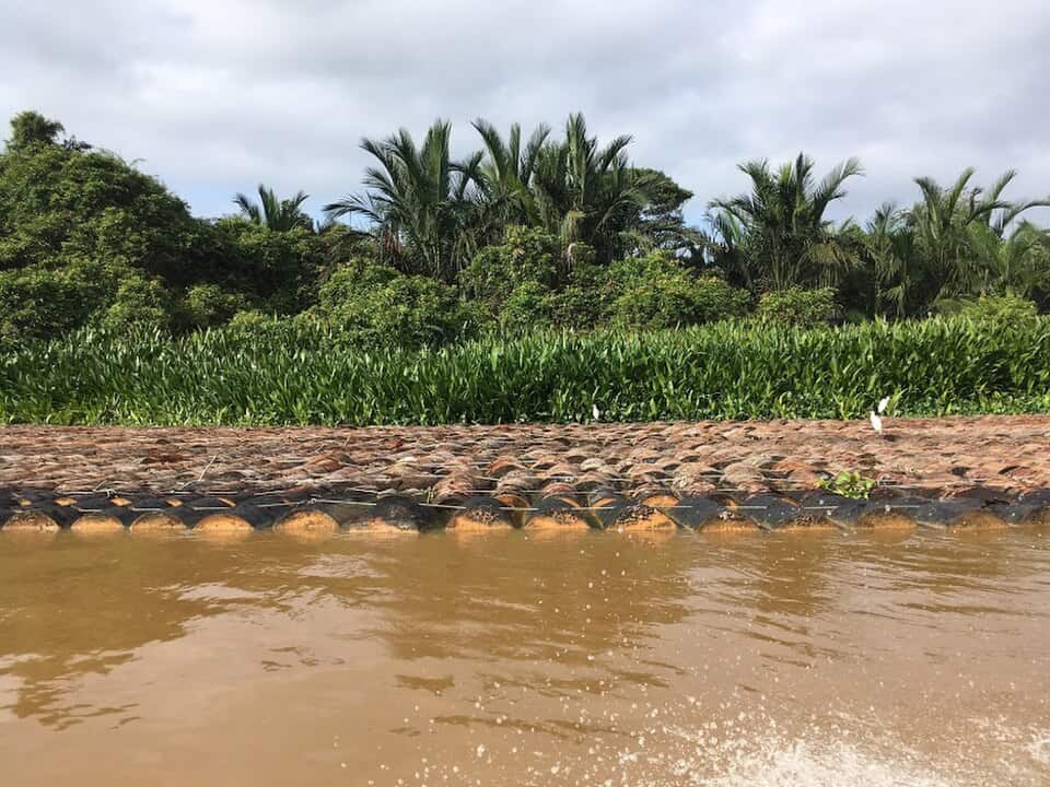 Freshly cut sago logs stacked at the water's edge on the Melanau coast