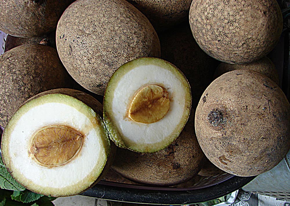 Native to Malaysia and Borneo under names such as Membangan and Asam Embang. Photo from a market in Serian, Sarawak, Borneo.