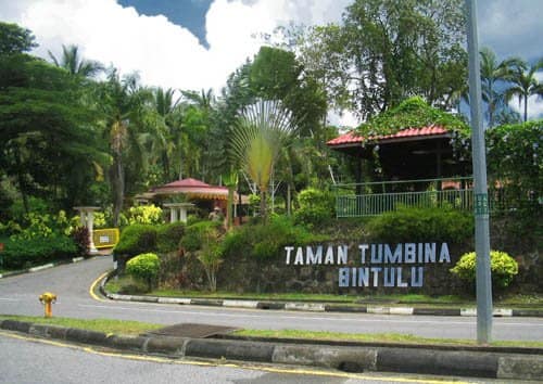 Landscaped gardens and forested slopes inside Taman Tumbina park at Bintulu