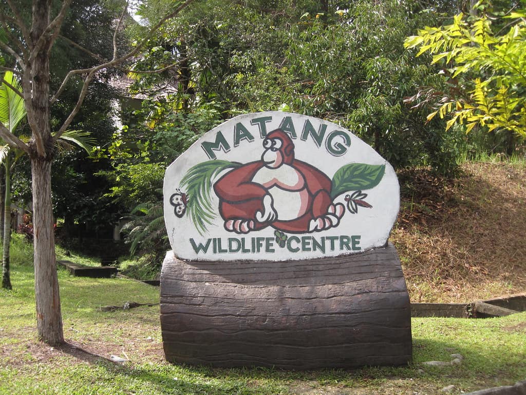 The carved entrance sign for Matang Wildlife Centre, painted with an orangutan, standing in forest