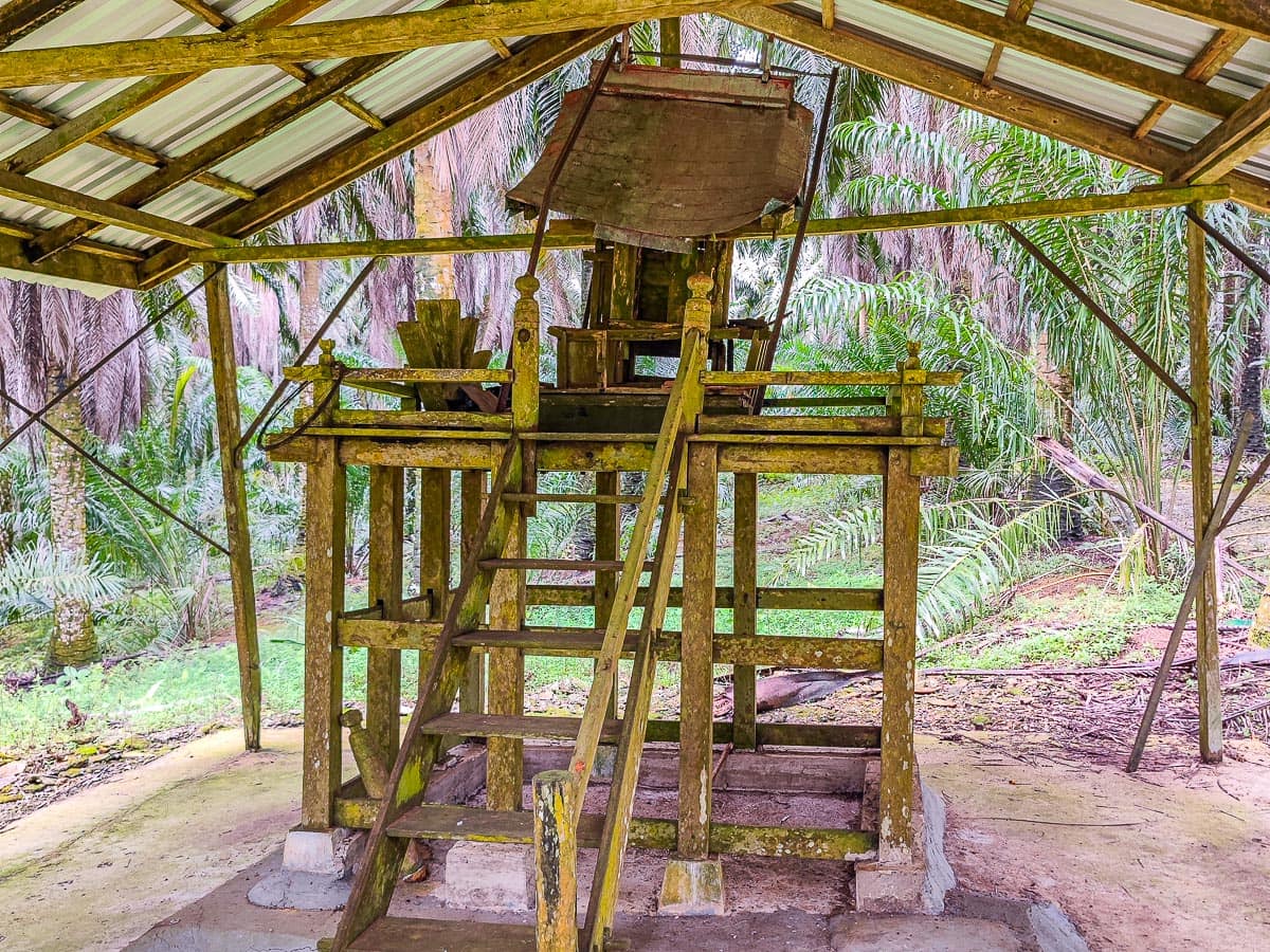 The Yorioka Shrine being slowly restored after being abandoned during World War 2 (Sarawak, Malaysia)
