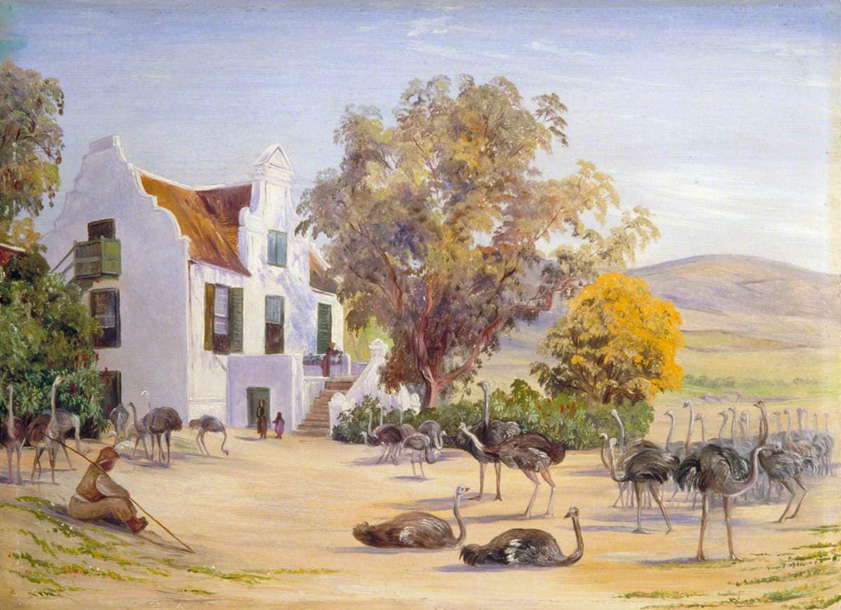 Marianne North (1830 1890) Ostrich Farming at Groot Post, South Africa MN454 Marianne North Gallery