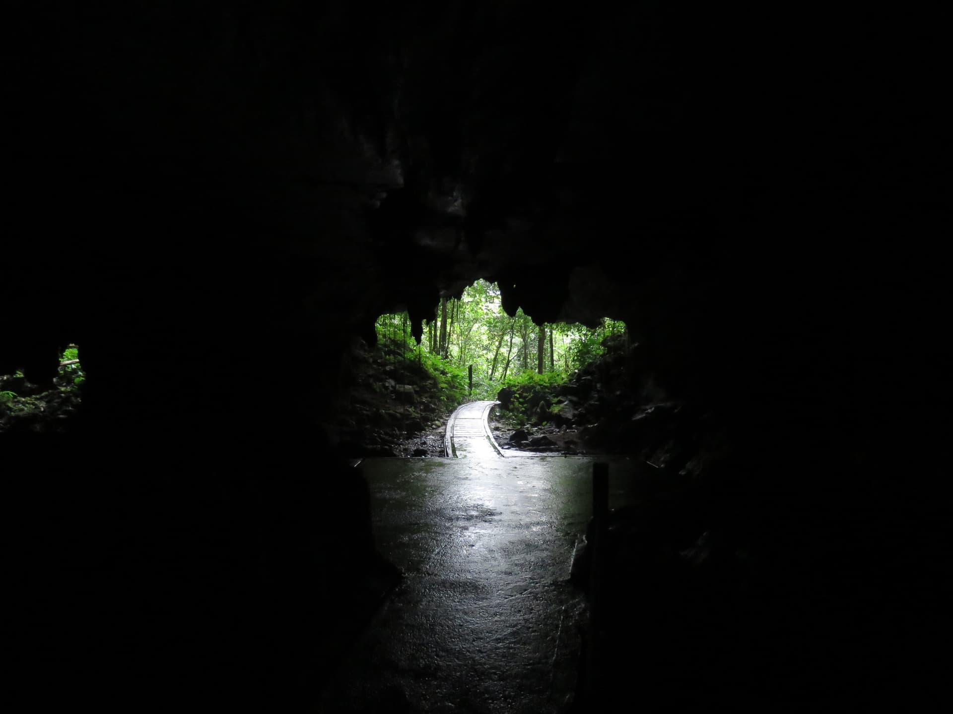 Gunung Mulu National Park's Show Caves: Inside Deer Cave and Clearwater Cave