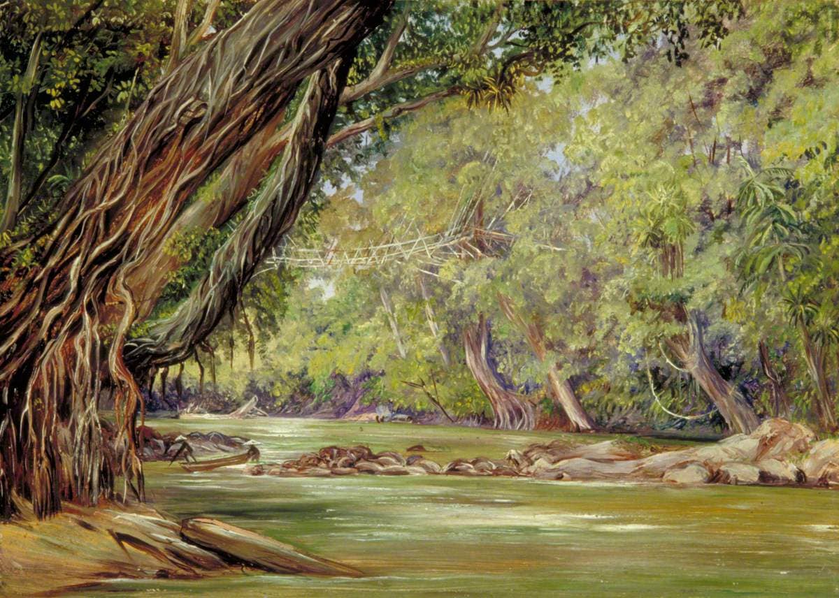 Marianne North (1830 1890) Cobweb Bridge in Borneo, Made by the Dyaks with Rattans and Bamboos MN612 Marianne North Gallery