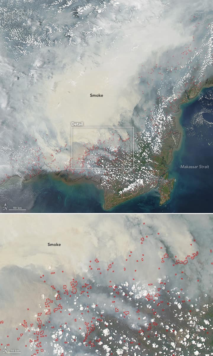 Dense white and grey smoke pouring from peat fires across Borneo, seen from NASA's Aqua satellite