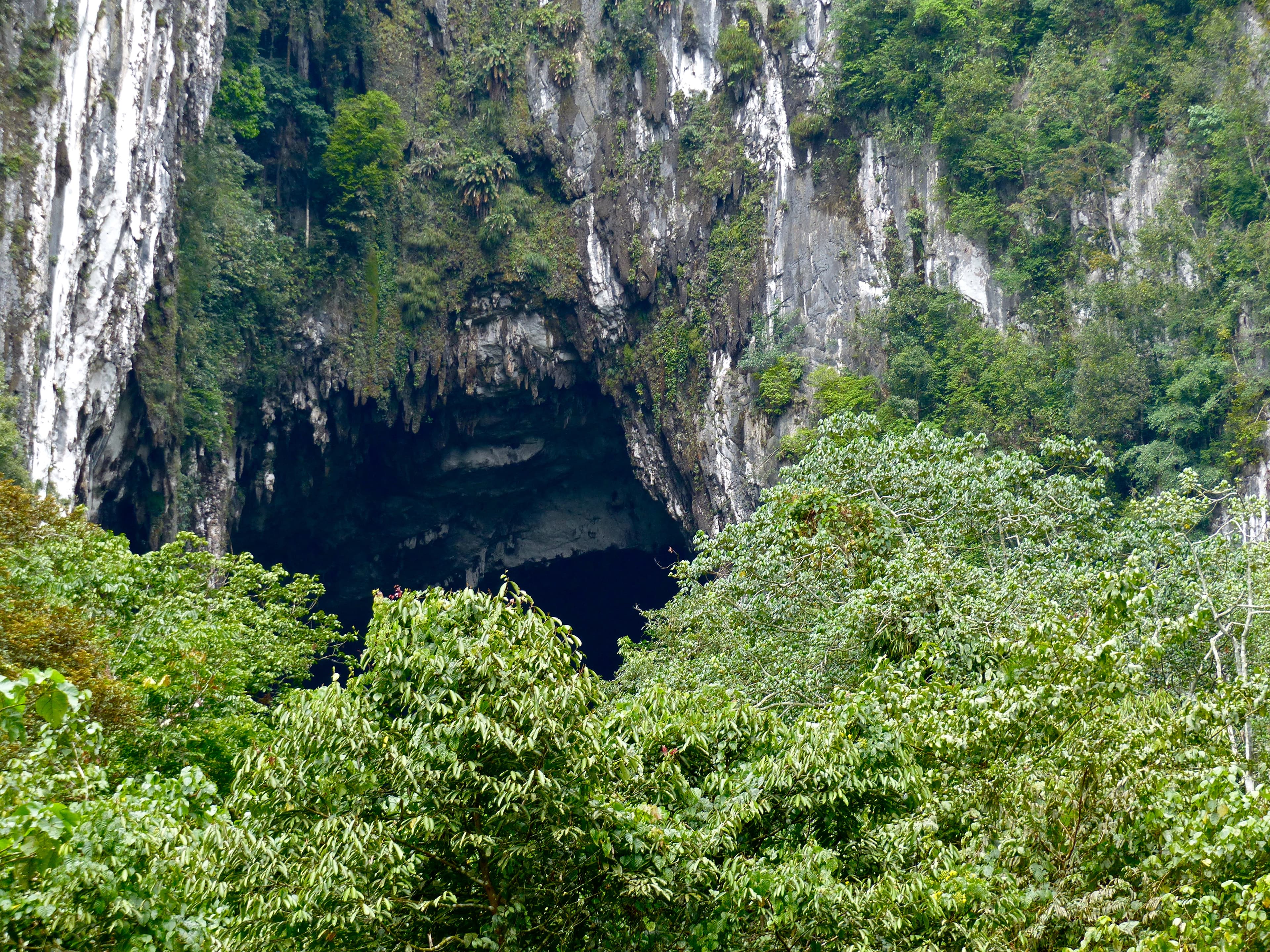 Gunung Mulu National Park's Show Caves: Inside Deer Cave and Clearwater Cave