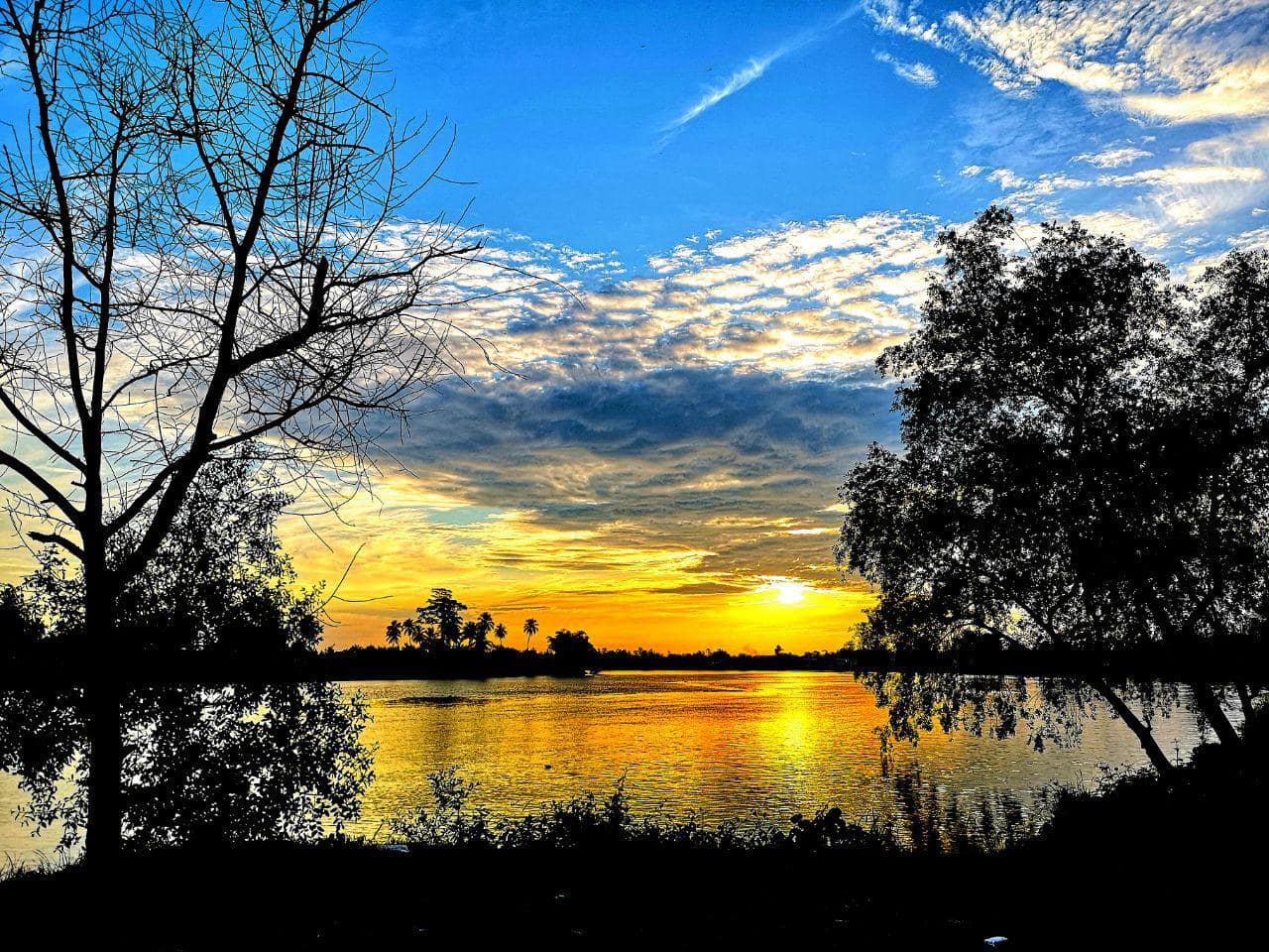 This photograph is taken in October 2018. Great view of the sunset at the riverbank of Batang Lupar with great weather.