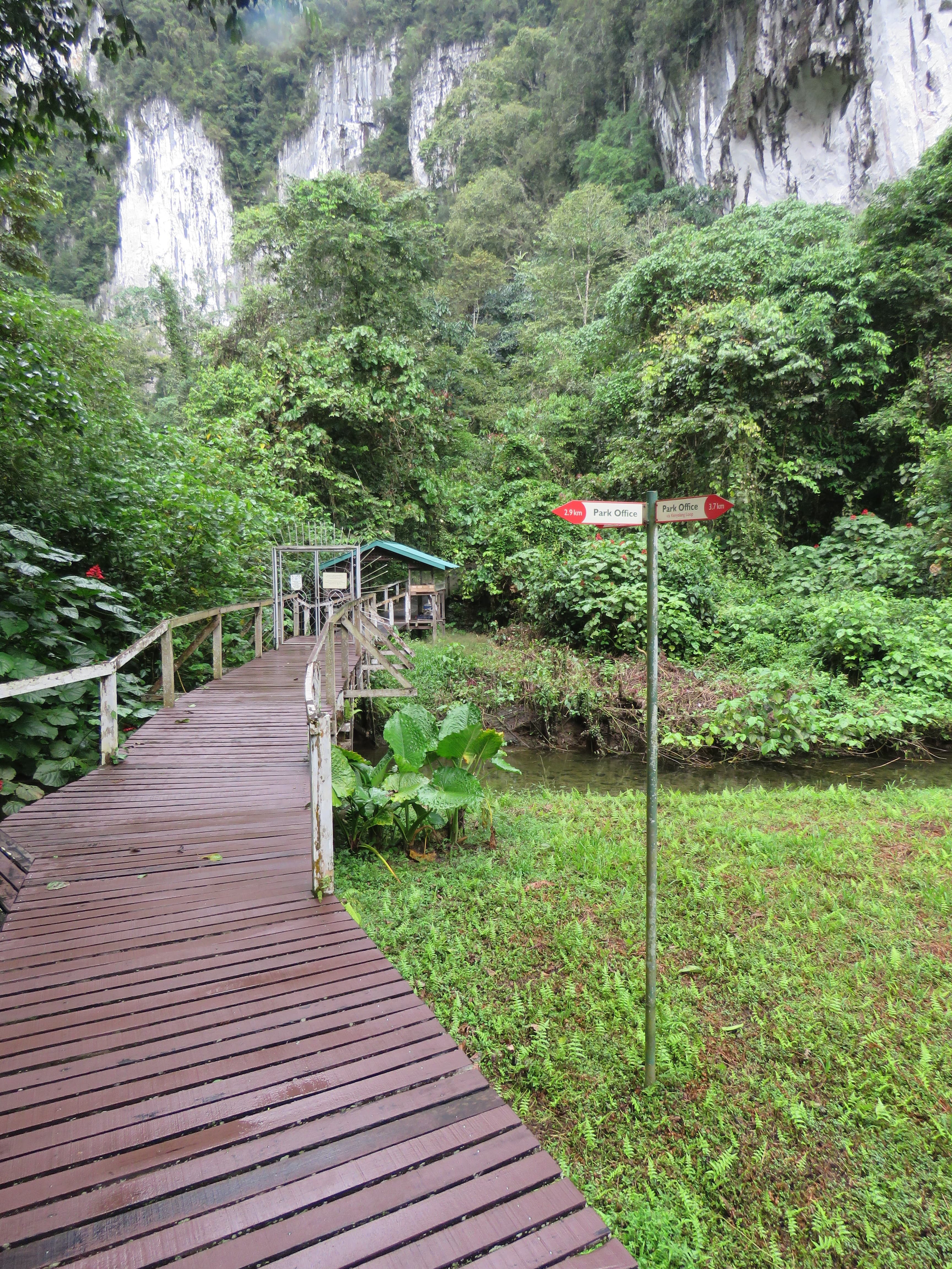 Planning a Trip to Gunung Mulu National Park: Permits, Guides and Best Time to Go