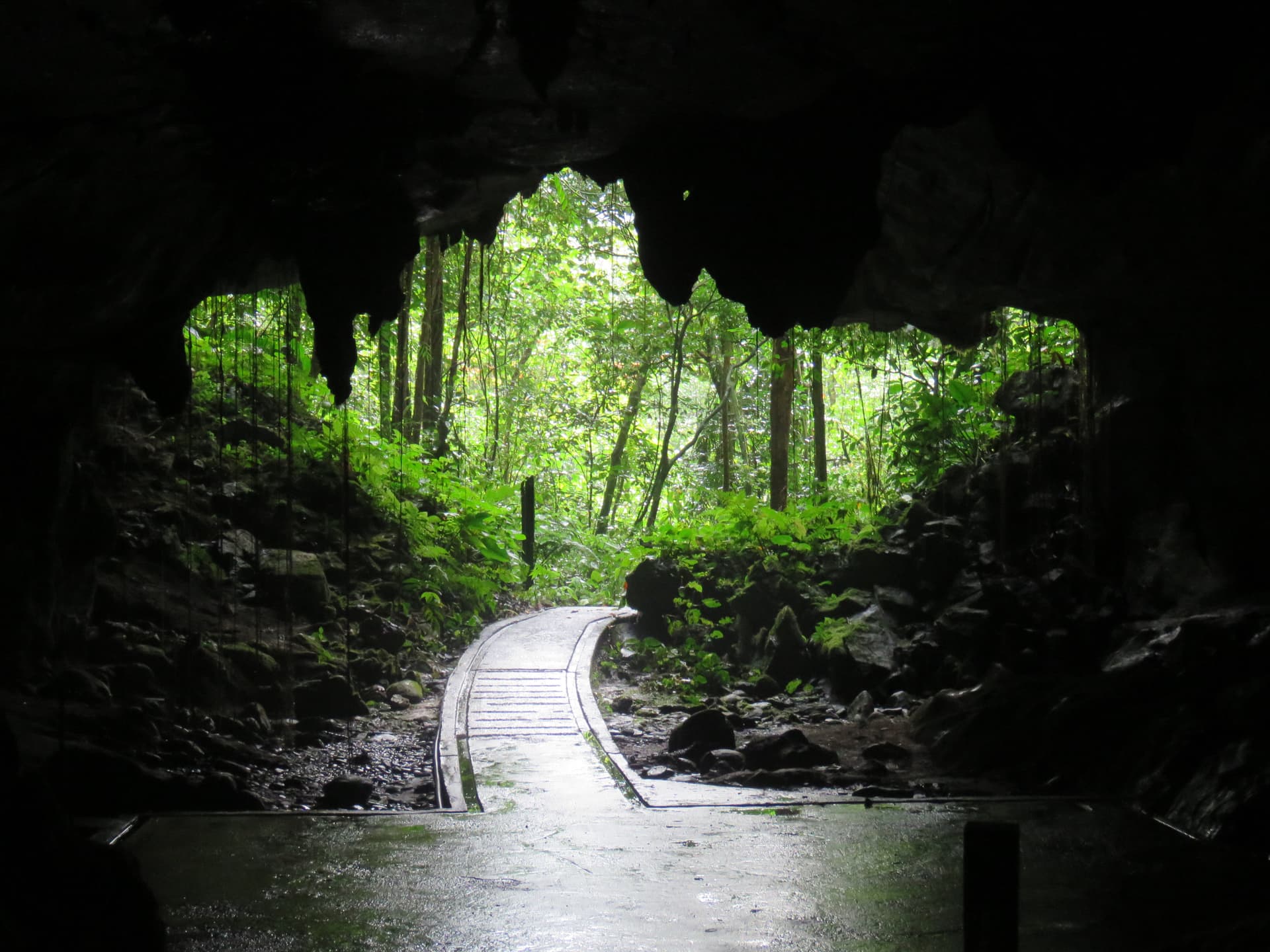 Gunung Mulu National Park's Show Caves: Inside Deer Cave and Clearwater Cave