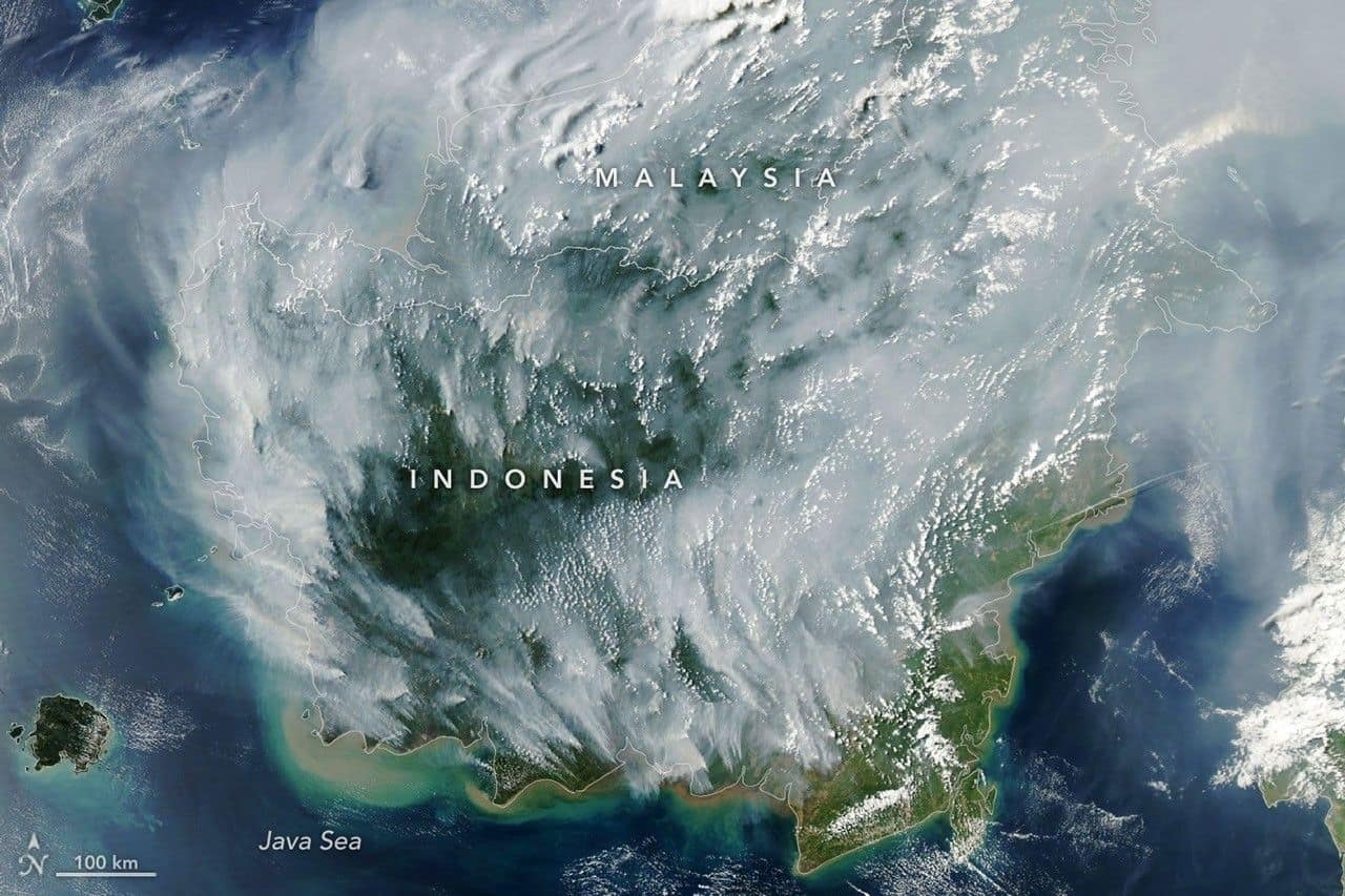 Why a Sarawak peat fire takes eight days to put out