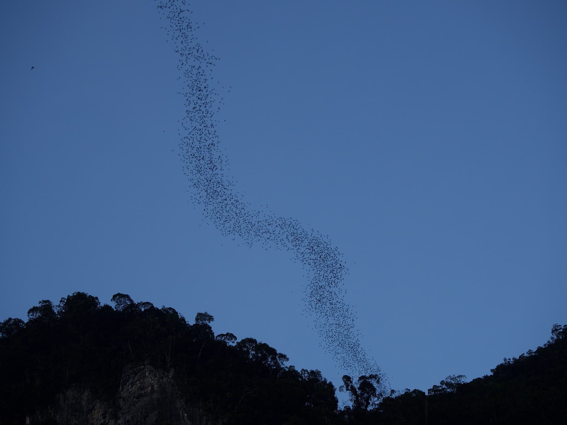 Best Things to Do in Mulu, Sarawak, Beyond the Show Caves