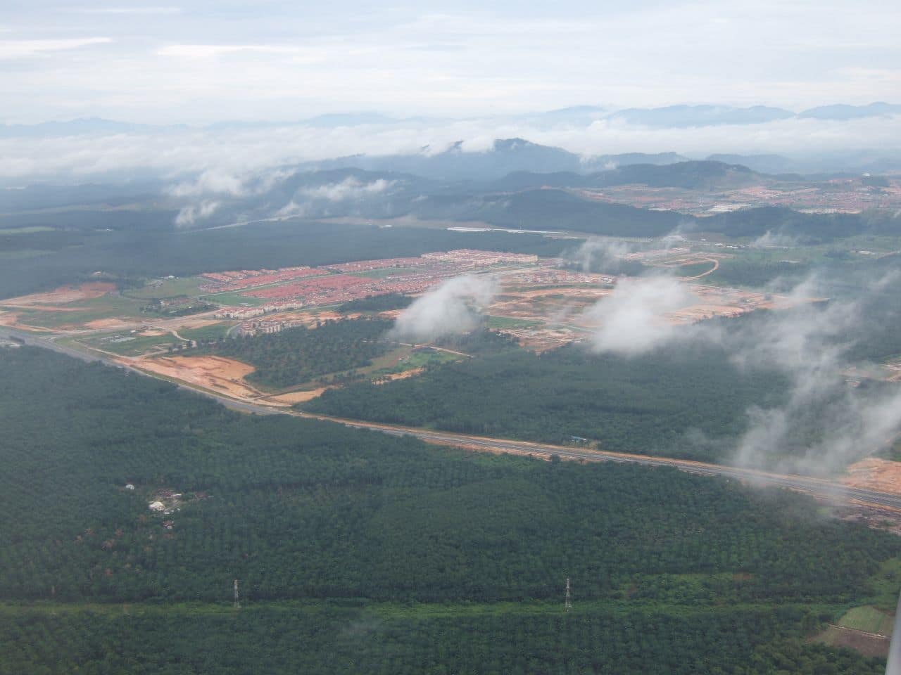 Oil palm plantations in Sarawak as seen from a plane.