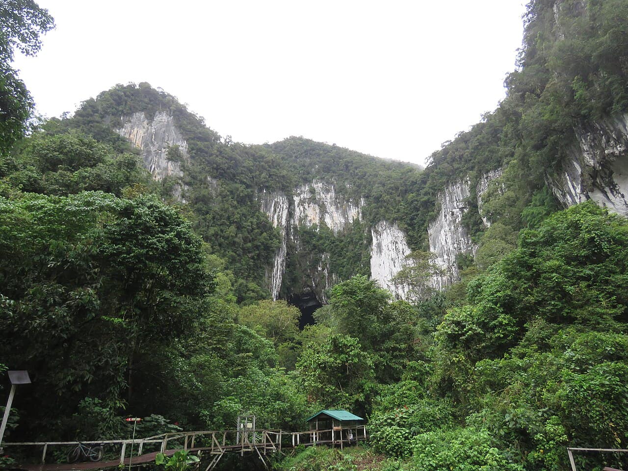 The plank walkway through rainforest on the approach to Deer Cave