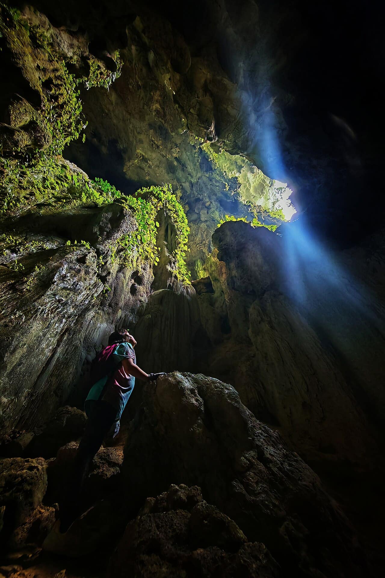 Jungle light falling into Fairy Cave, Bau