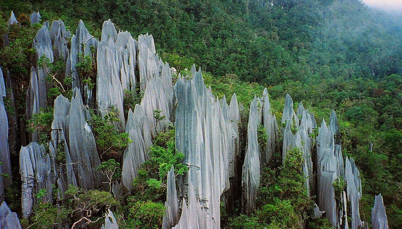 Limestone pinnacles packed together like blades above the forest canopy
