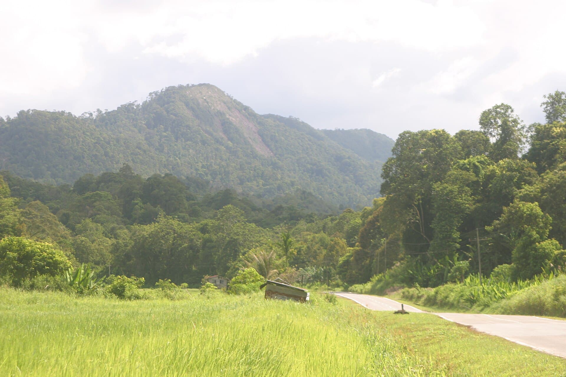 To the Long House
