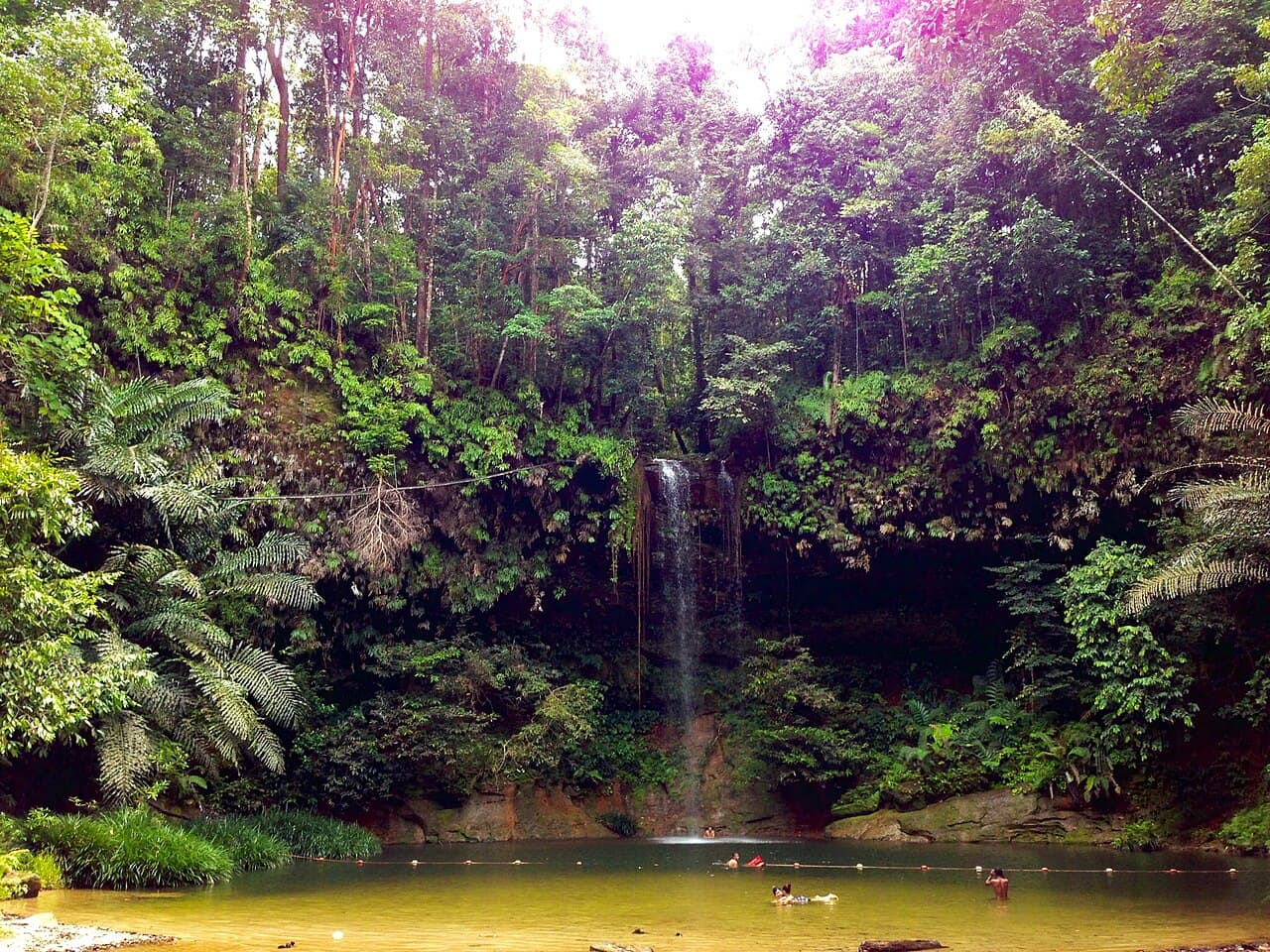 Latak waterfall dropping into its bathing pool at Lambir Hills