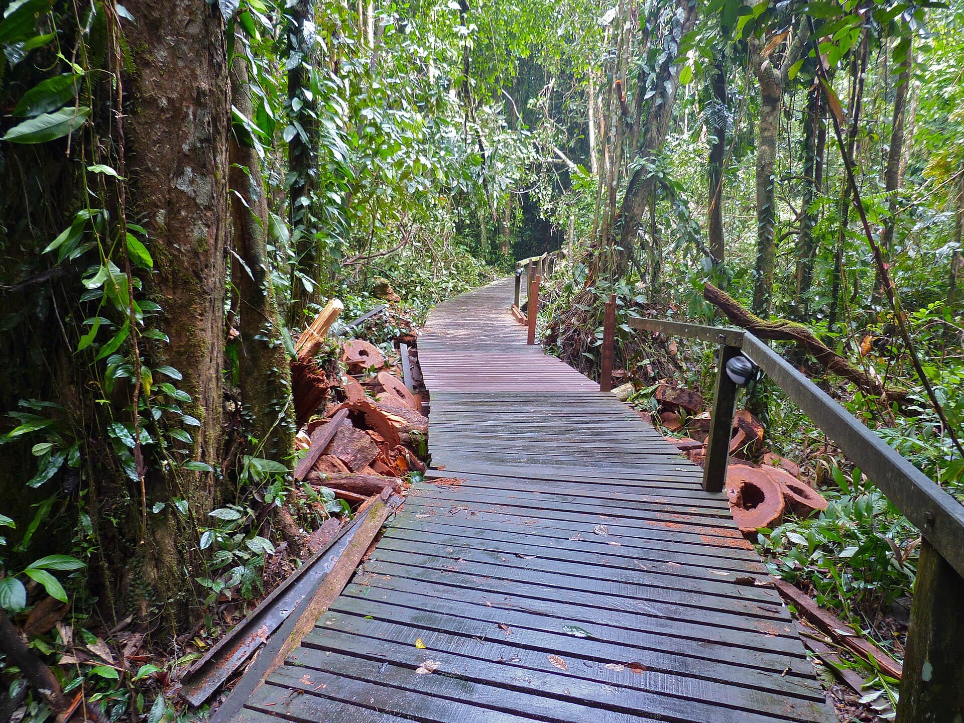 Deer Cave Boardwalk, Mulu NP, Sarawak, MALAYSIA