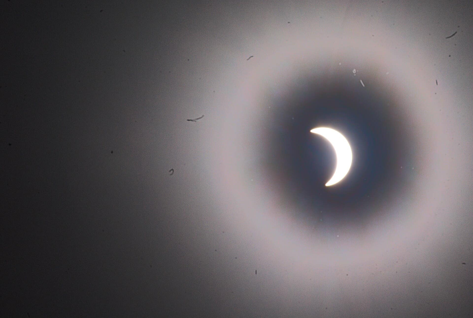 What if when you wake up in the morning, go outside to embrace the Sun's warmth, but strangely it is still dark and that ball of fire behave different like it used to be? A total solar eclipse sweep across the vast Indonesian archipelago this morning, witnessed by hordes of sky gazers and marked by