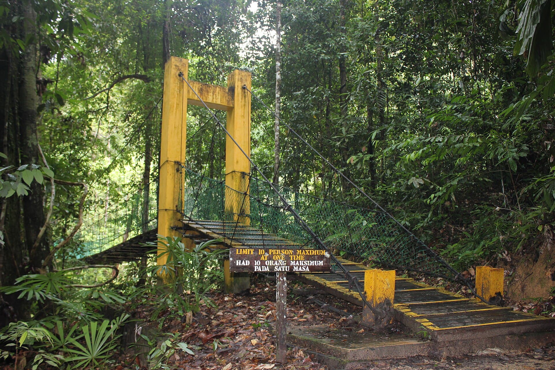 Lambir Hills Bridge