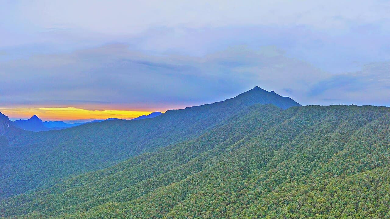 The summit ridge of Gunung Mulu catching the last evening light