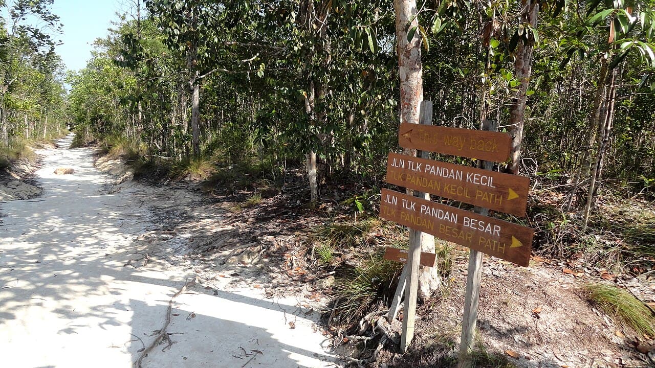 Weathered sandstone cliffs and forest meeting the sea at Bako, part of the Sarawak Delta geopark territory