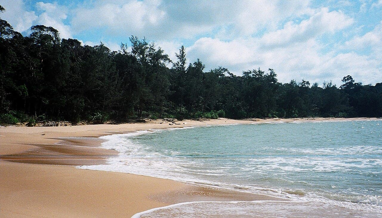 Golden Beach at Similajau National Park, where rainforest meets the sea