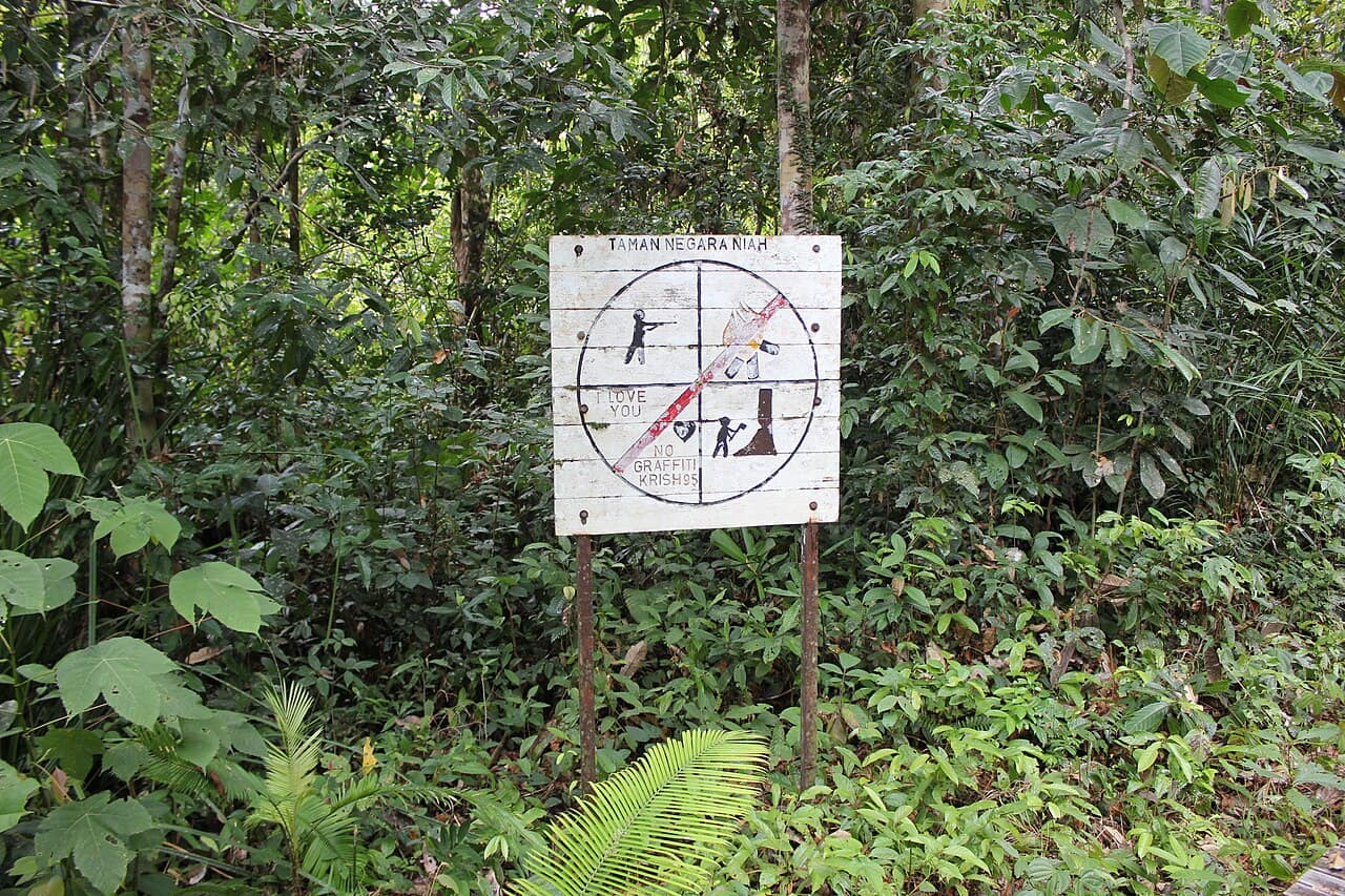 The rainforest walkway approaching Niah Cave