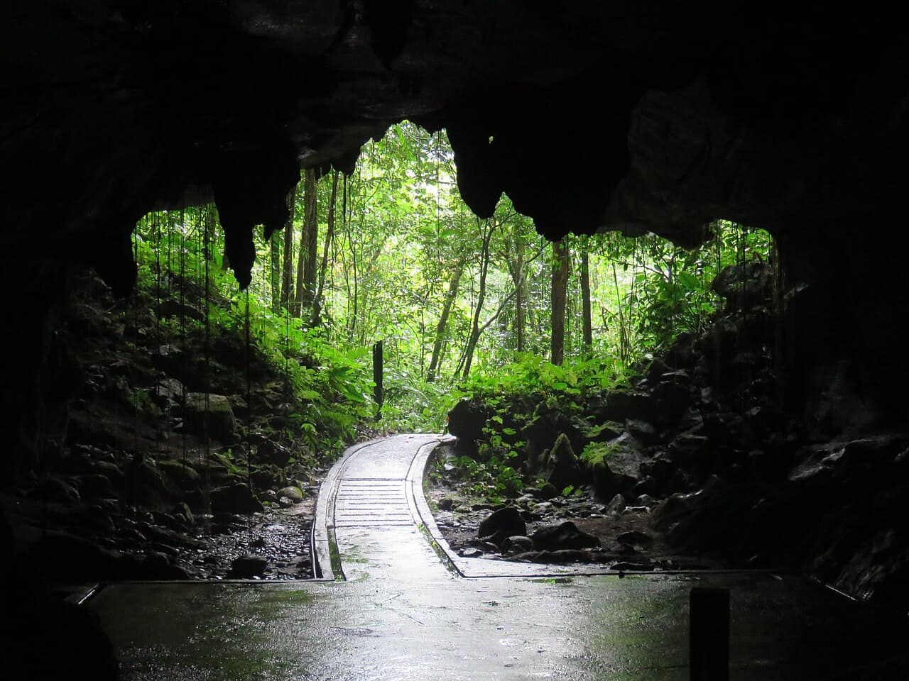 Looking out from inside Deer Cave towards the daylight at its mouth