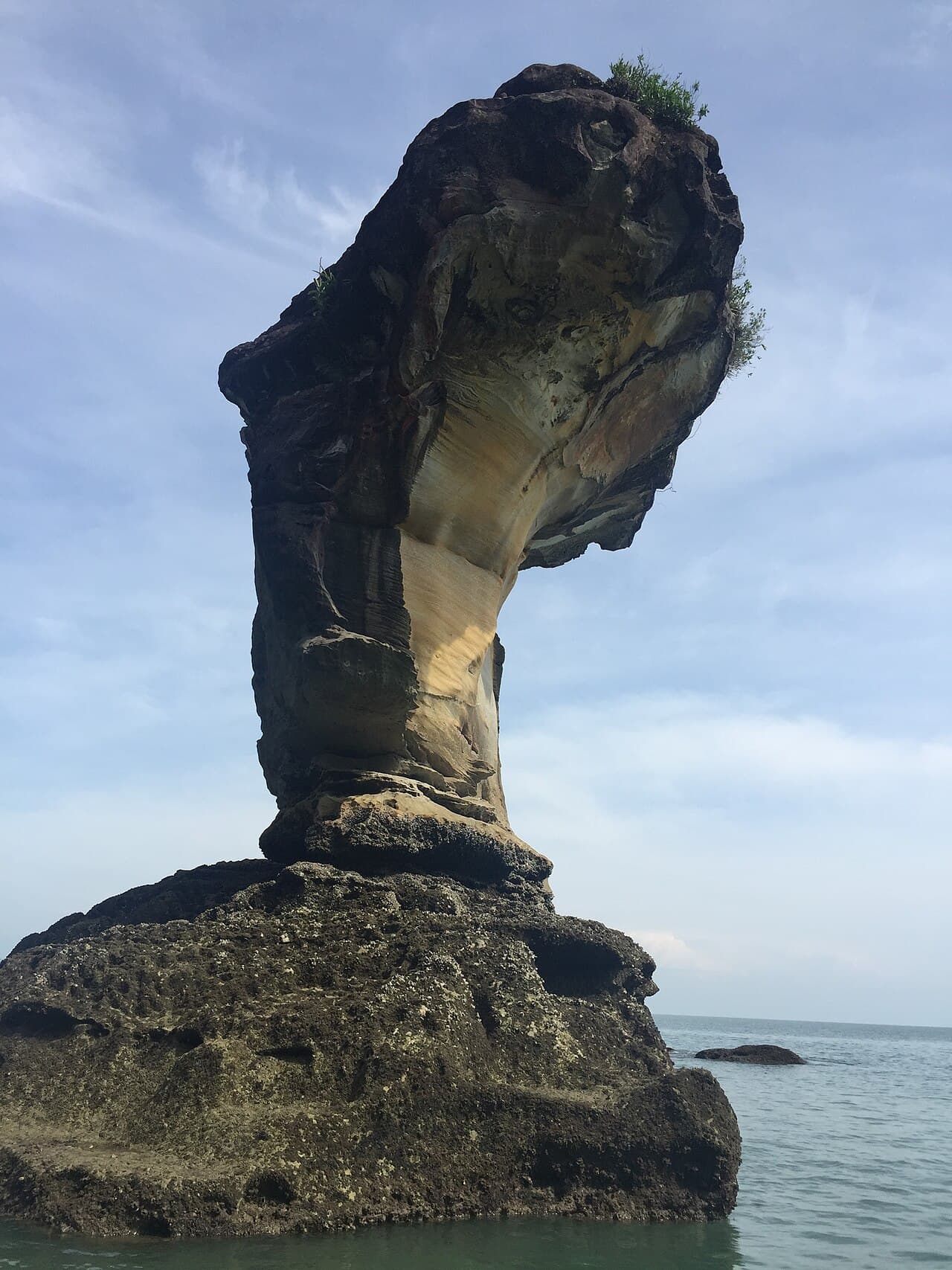 The iconic cobra-headed sea stack off the coast of Bako National Park
