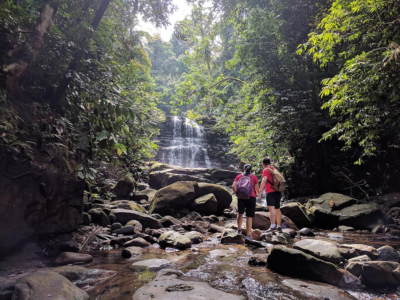 Along the trails of Kubah National Park