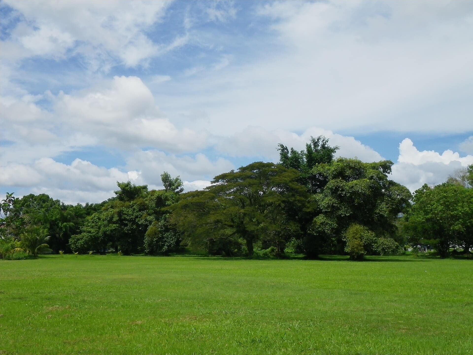 The park in the middle of Pekan Limbang